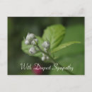Search for deepest postcards Flower