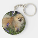 Search for pomeranian key rings Flowers