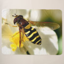 Search for queen bee blankets Hive