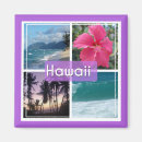 Search for purple tree magnets Sunset