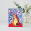 Search for gingers postcards For pets