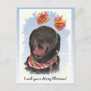 Search for black labrador retriever postcards Animals