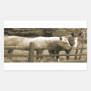Search for ranch life stickers Equestrian