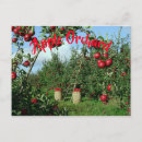 Search for red delicious postcards Apple