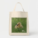 Search for ornithology tote bags Birds and blooms