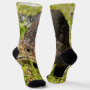 Search for reptile socks Lizard