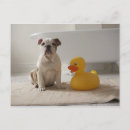 Search for mats postcards Indoors