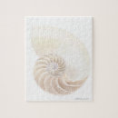 Search for nautilus puzzles Beach