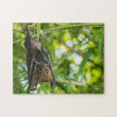 Search for bat puzzles Animal