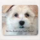 Search for teeth electronics Hygiene