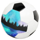 Search for reflection ball Landscape