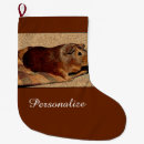 Search for pig christmas stockings Cavy