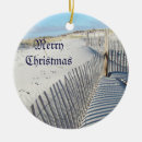 Search for fence christmas tree decorations Beach