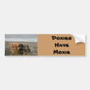 Search for dachshund bumper stickers Dog