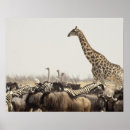 Search for namibia art Sky