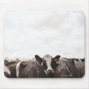 Search for dairy cow mousepads Agriculture