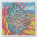Search for fish coasters Tropical