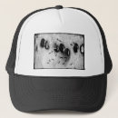 Search for ant hats Nature