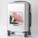 Search for pink hibiscus bumper stickers Nature