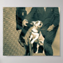 Search for duotone posters Photography