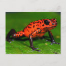 Search for dart postcards Wild