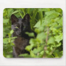 Search for black cat mousepads Animal