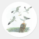 Search for nature animal stickers Pets