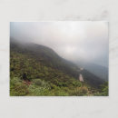 Search for misty postcards Forest