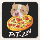 Search for pit bull coasters Puppy