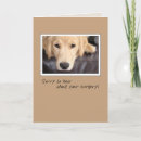 Search for golden retriever get well cards Sad