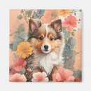 Search for sheepdog magnets Animal