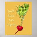 Search for radish posters Organic