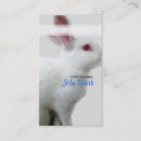 Search for rabbit business cards Animal