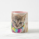 Search for baby kitten mugs Feline