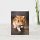 Search for syrian cards Rodent