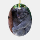 Search for australia koala bear christmas tree decorations Koalas