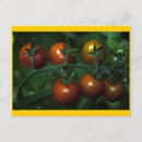 Search for fruit farming postcards Garden