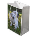 Search for golden retriever gift bags Puppies