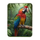 Search for macaw parrot magnets Birds