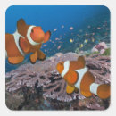 Search for length stickers Nature