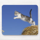 Search for activities mousepads Vitality