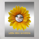 Search for little miss sunshine Funny