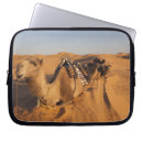 Search for camel cases Caravan