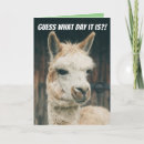 Search for funny hump day postcards Guess what day