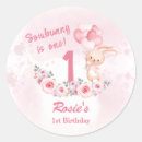Search for bunny girl stickers 1st birthday