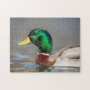 Search for mallard duck puzzles Nature