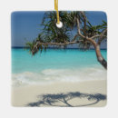 Search for sunny christmas tree decorations Tropical