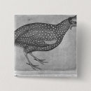 Search for fowl badges Bird