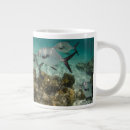 Search for pete mugs Danita delimont