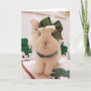 Search for bunny day cards Green